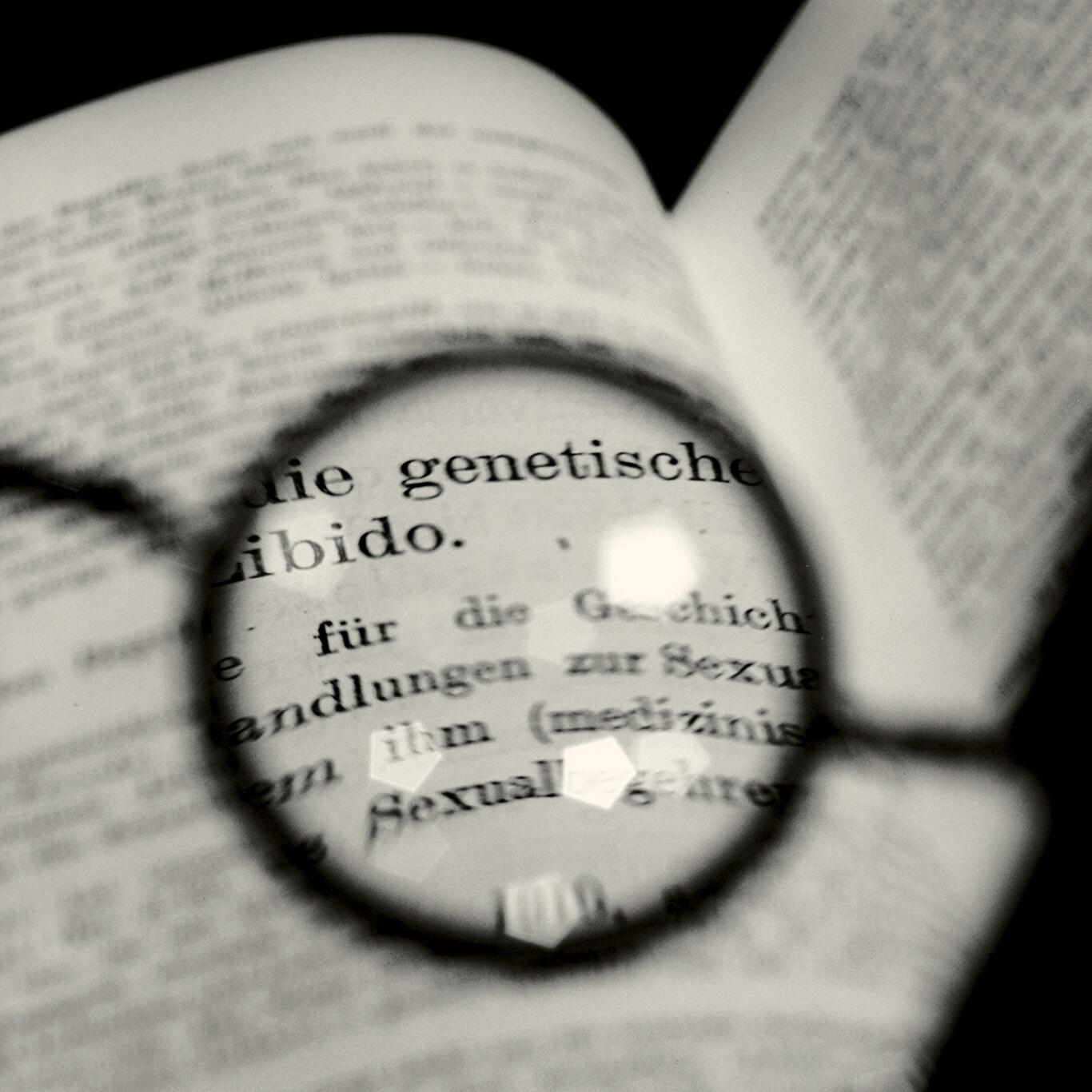 Paseo entre memorias (Marina Tsvietáieva, Melchor López, Tomoko Yoneda)